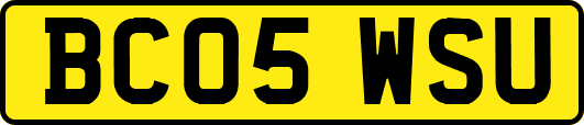 BC05WSU