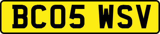 BC05WSV