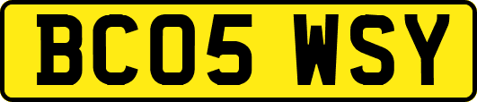 BC05WSY