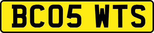 BC05WTS
