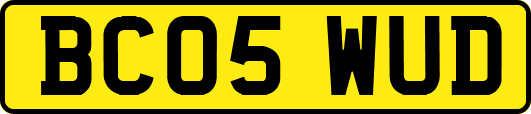 BC05WUD