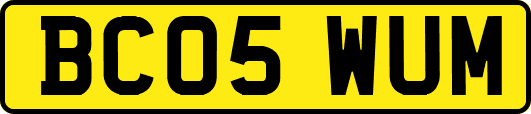 BC05WUM