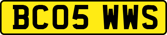 BC05WWS
