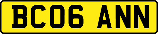 BC06ANN