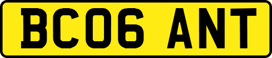 BC06ANT
