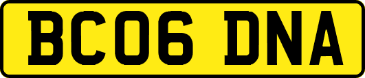 BC06DNA