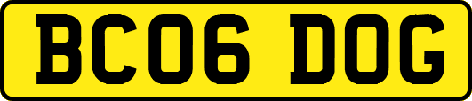 BC06DOG