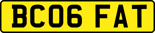 BC06FAT