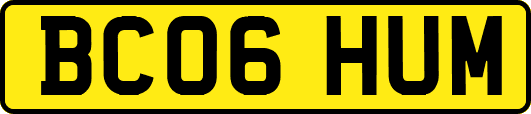 BC06HUM