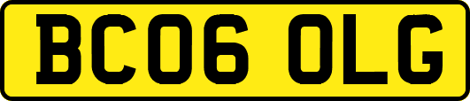 BC06OLG