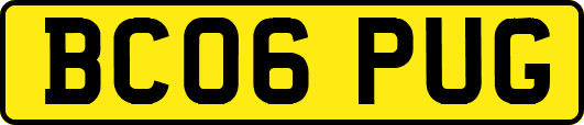 BC06PUG