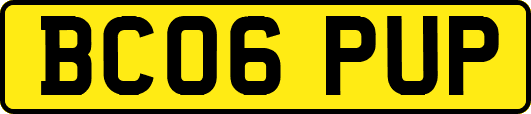 BC06PUP