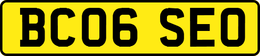 BC06SEO