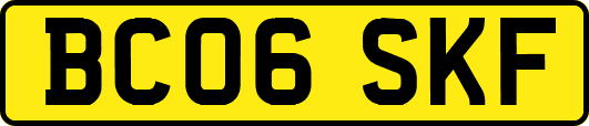 BC06SKF