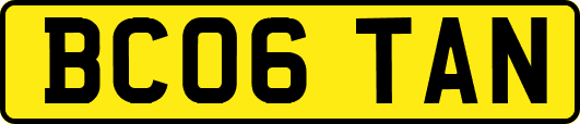 BC06TAN