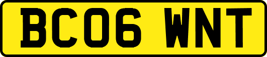 BC06WNT