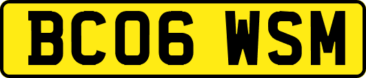 BC06WSM