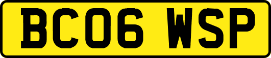 BC06WSP