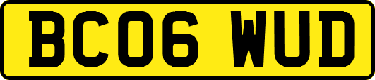 BC06WUD