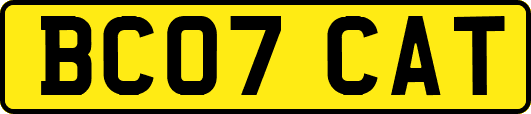 BC07CAT