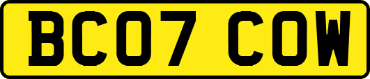 BC07COW