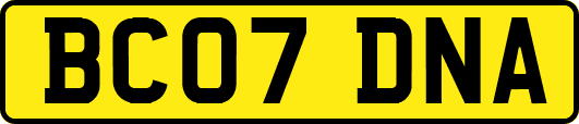 BC07DNA