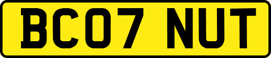 BC07NUT