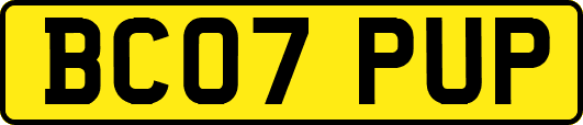 BC07PUP