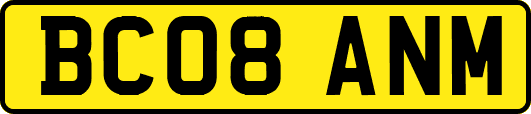 BC08ANM