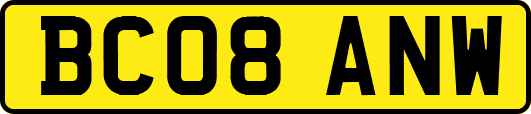 BC08ANW