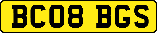 BC08BGS