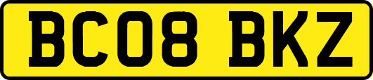 BC08BKZ