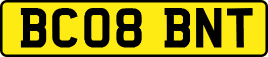 BC08BNT