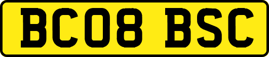 BC08BSC