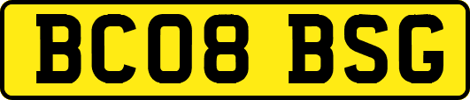 BC08BSG