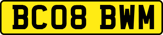BC08BWM