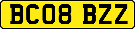 BC08BZZ