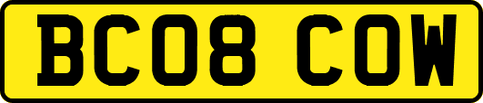 BC08COW