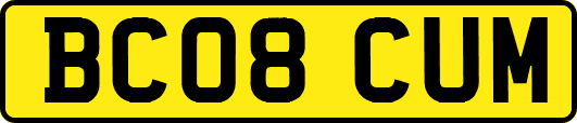 BC08CUM