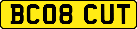 BC08CUT