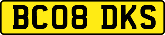 BC08DKS