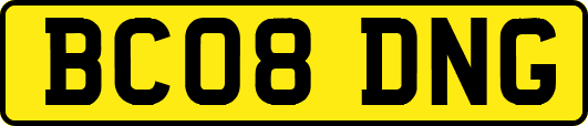 BC08DNG