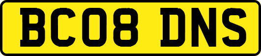 BC08DNS