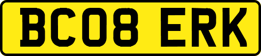 BC08ERK