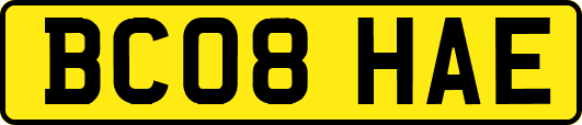 BC08HAE