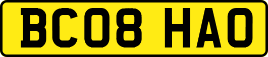 BC08HAO
