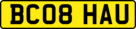 BC08HAU