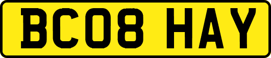 BC08HAY