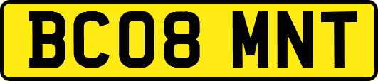 BC08MNT