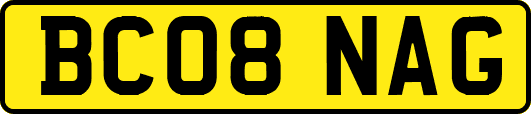 BC08NAG